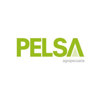Peksa