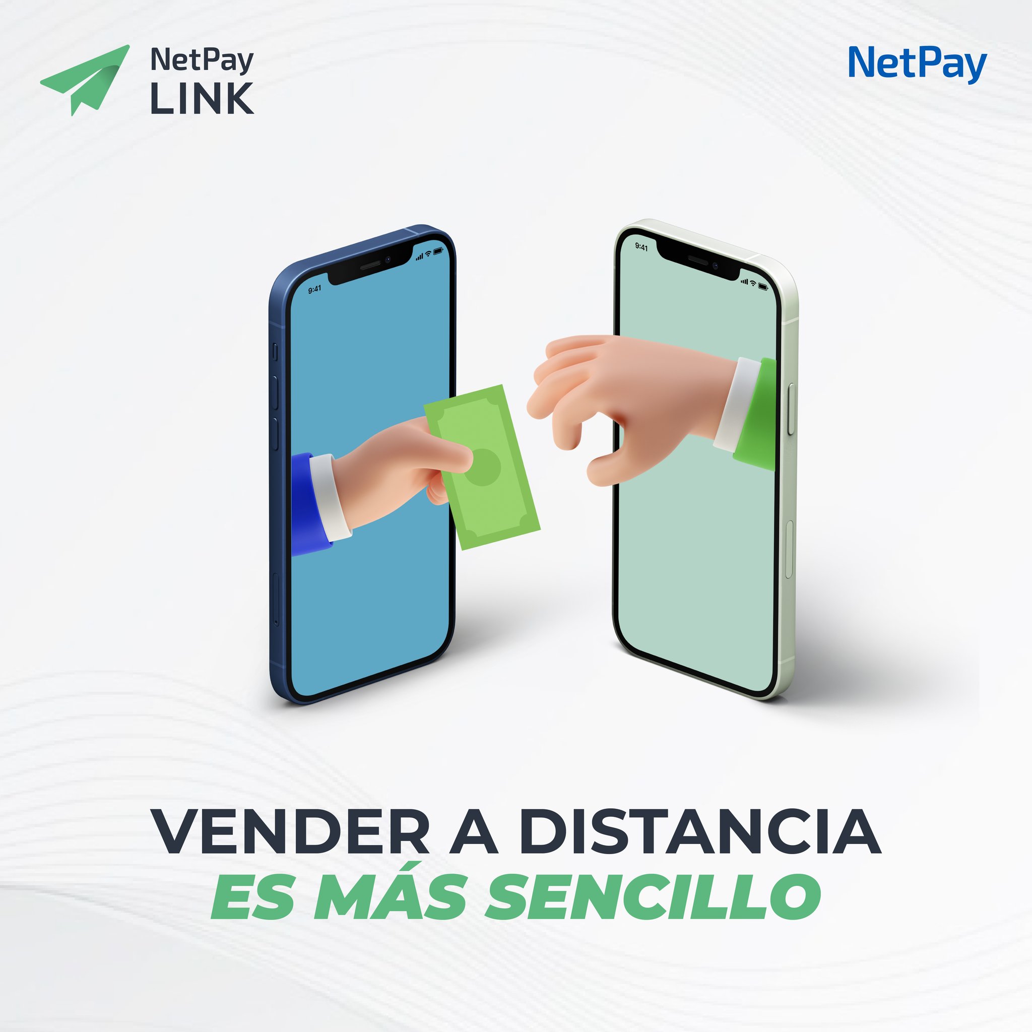 Netpay 07
